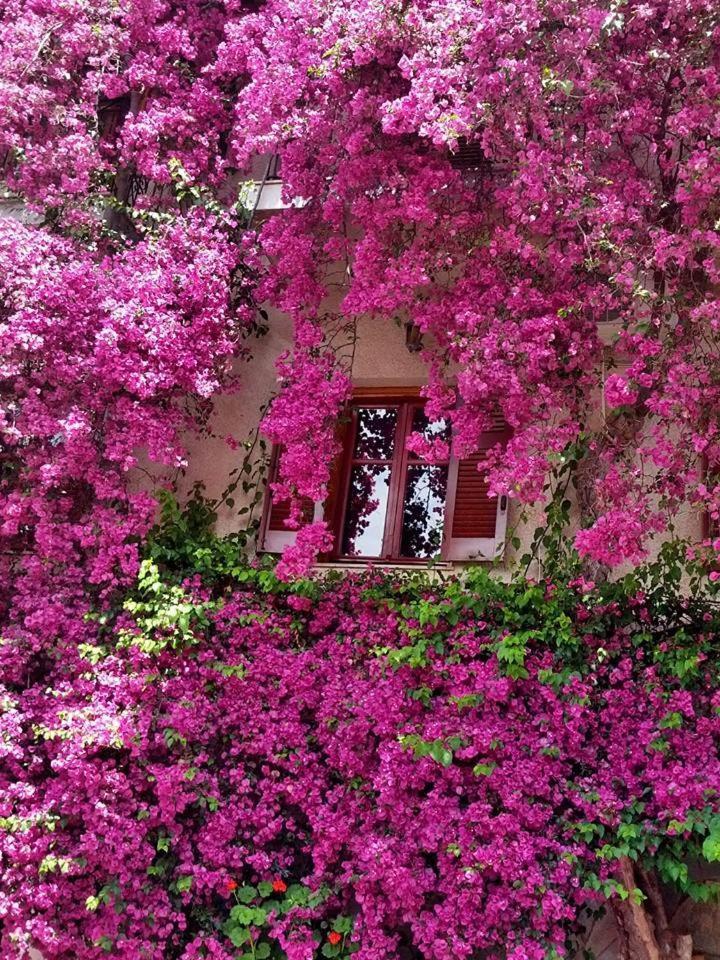 Iliolithos Rooms Kardhamili Esterno foto