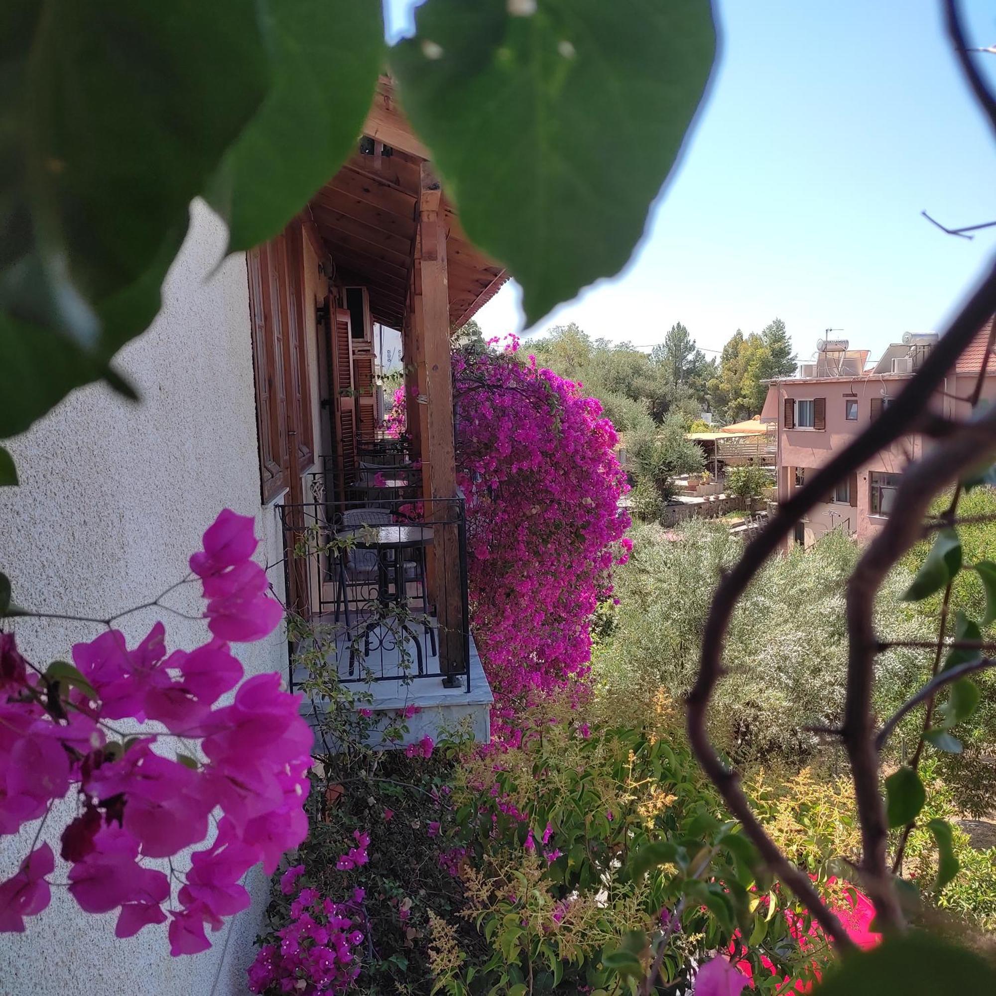 Iliolithos Rooms Kardhamili Esterno foto